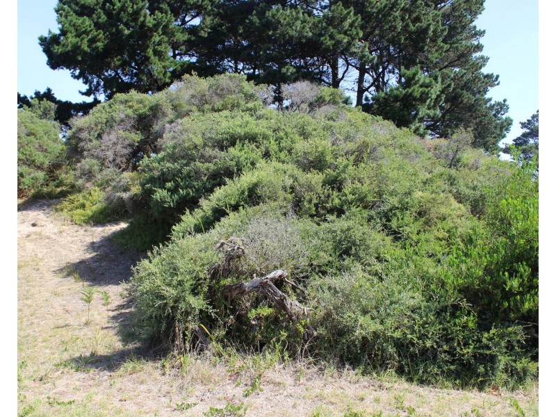 22. SATELLITE CRESCENT, Venus Bay VIC 3956