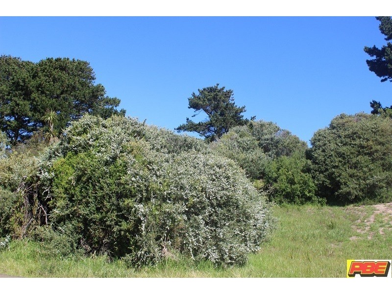 24. SATELLITE CRESCENT, Venus Bay VIC 3956