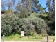 166. JUPITER BOULEVARD, Venus Bay VIC 3956