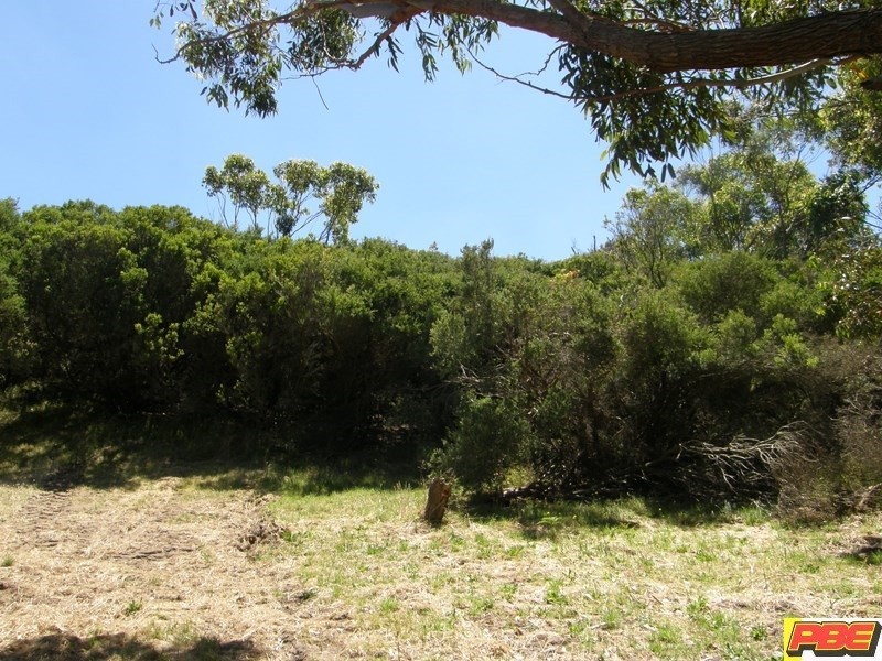 17. CRICHTON CRESCENT, Venus Bay VIC 3956