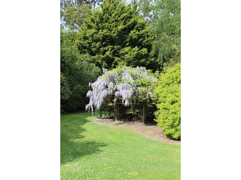 1835. MEENIYAN PROMONTORY ROAD, Fish Creek VIC 3959