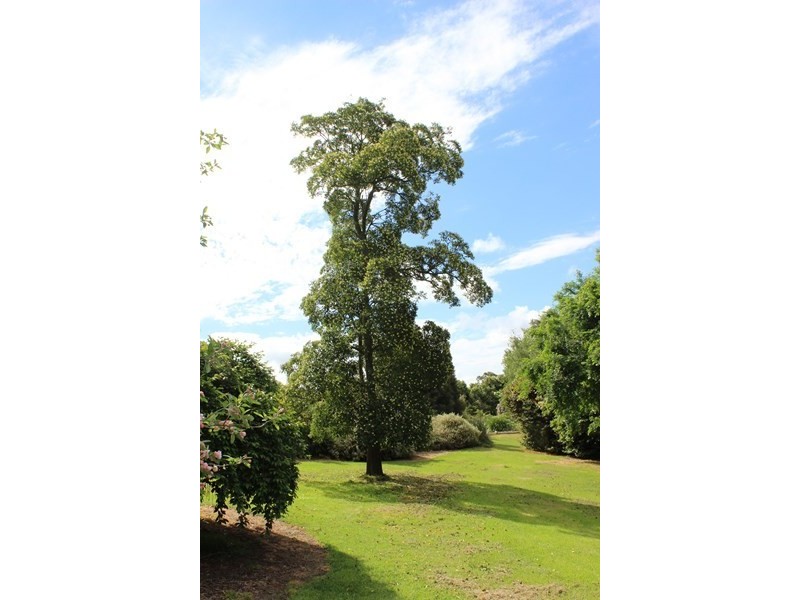 1835. MEENIYAN PROMONTORY ROAD, Fish Creek VIC 3959
