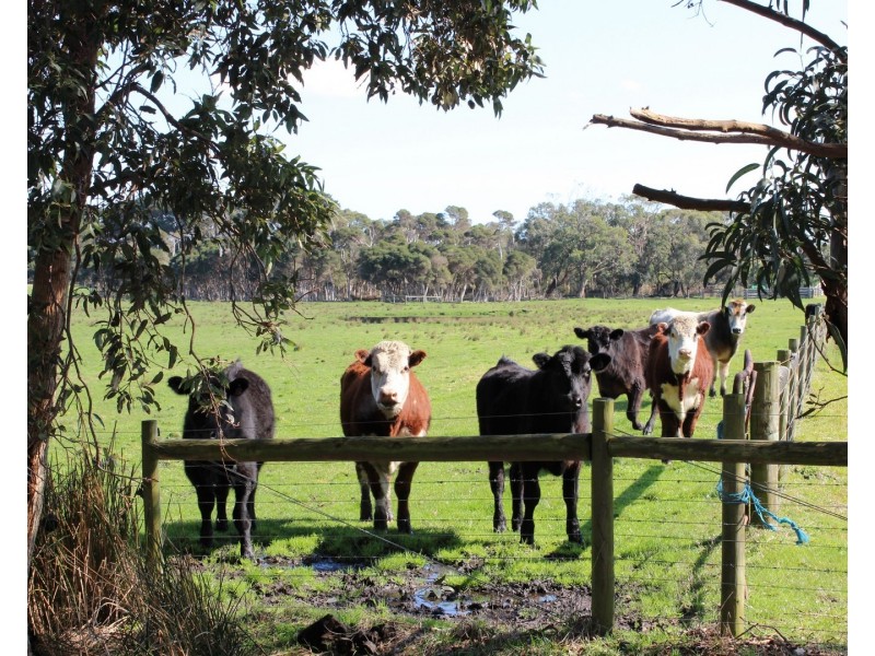 1645. BUFFALO-WARATAH ROAD, Walkerville VIC 3956