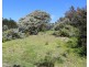 8. ATHERTON DRIVE, Venus Bay VIC 3956