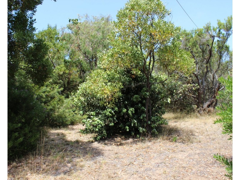 3 LYNCH ROAD, Venus Bay VIC 3956