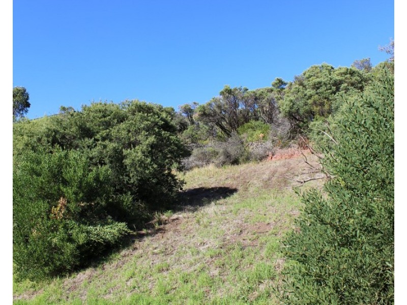 56 LANDSCAPE DRIVE, Venus Bay VIC 3956