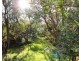 5 St. IVES CRESCENT, Venus Bay VIC 3956
