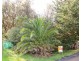 5 St. IVES CRESCENT, Venus Bay VIC 3956