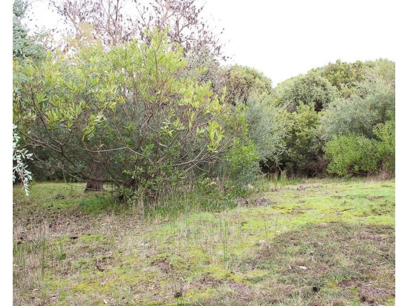6 NOBLE STREET, Venus Bay VIC 3956