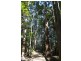 Currumbin Valley QLD 4223