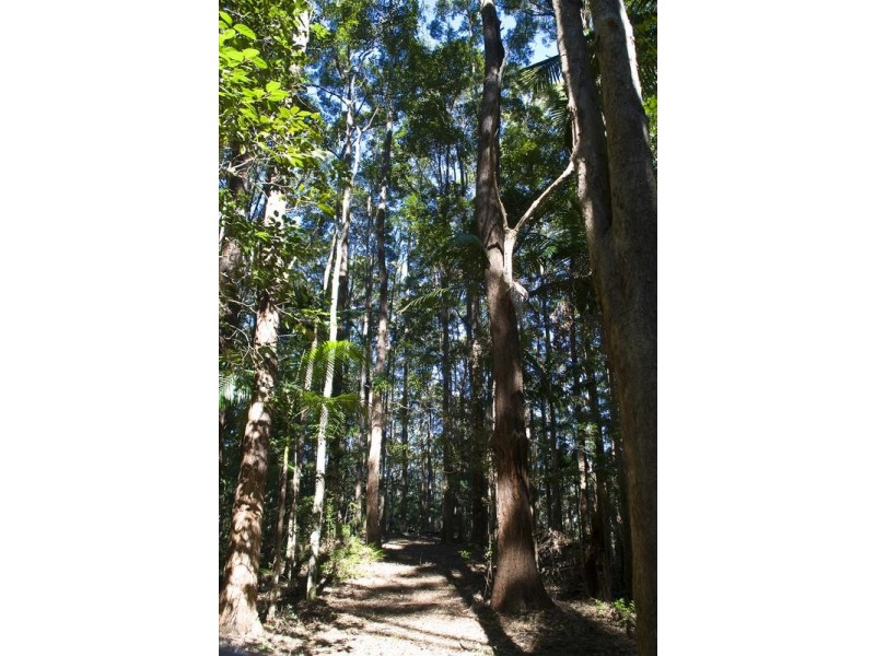 Currumbin Valley QLD 4223