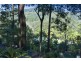 Currumbin Valley QLD 4223