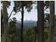 Bonogin QLD 4213