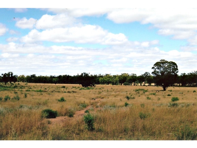 Lot 24, Nandawar Tin Hut Rd, Coolmunda QLD 4387