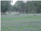 Lot 1 & 2,  Limevale-Greenup Rd, Coolmunda QLD 4387