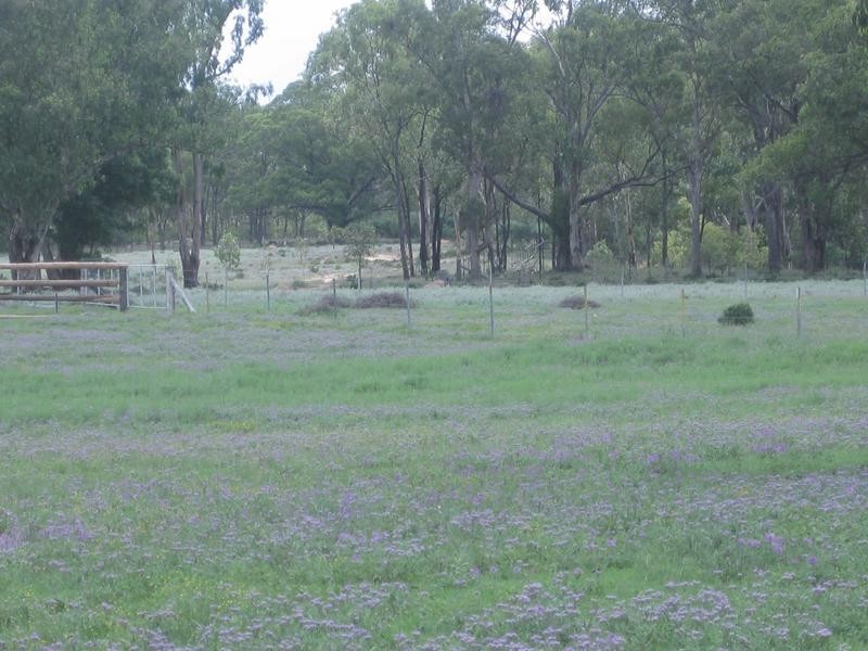 Lot 1 & 2,  Limevale-Greenup Rd, Coolmunda QLD 4387