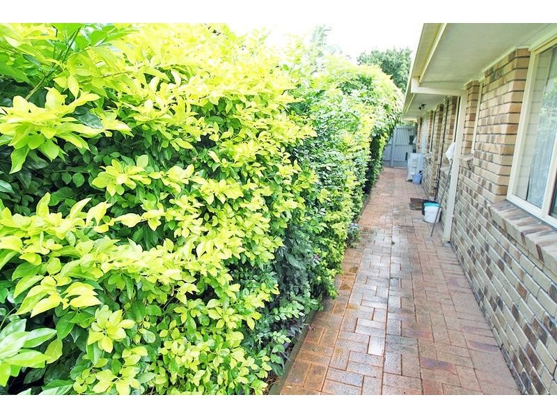 25 Noosa Court, Hillcrest QLD 4118