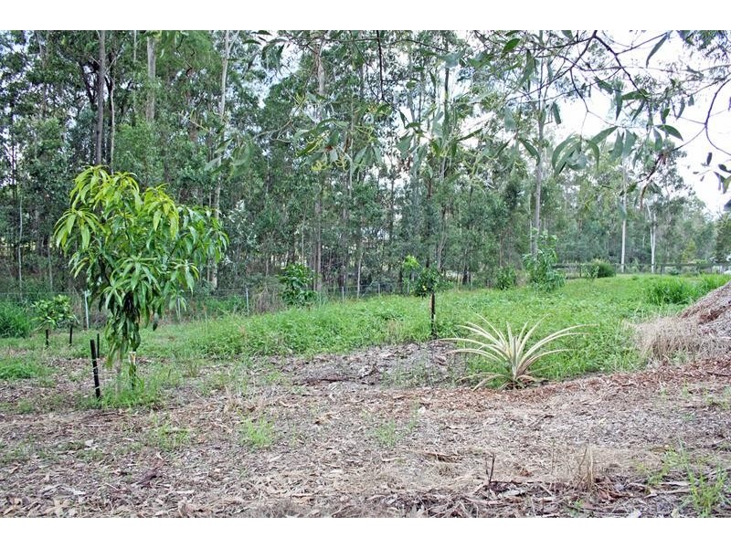 343 Spring Mountain Drive, Greenbank QLD 4124