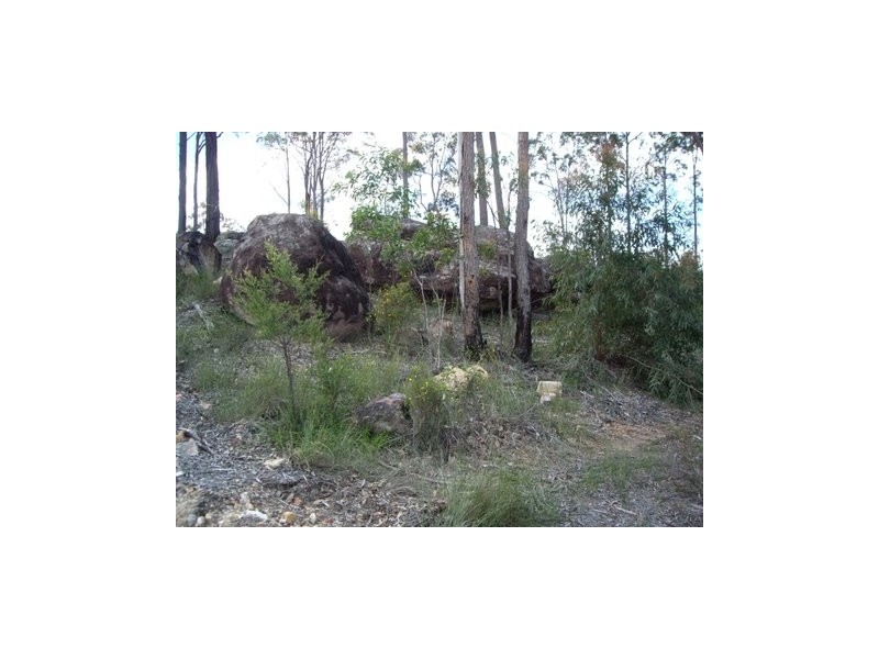 Lot 1319, 393 Bellbird Drive Spring Mountain, Greenbank QLD 4124