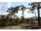 Lot 1319, 393 Bellbird Drive Spring Mountain, Greenbank QLD 4124