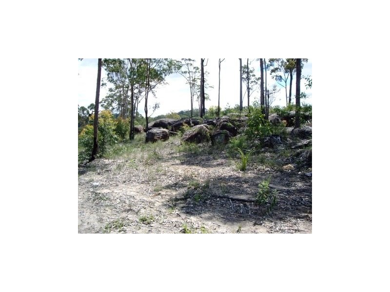Lot 1319, 393 Bellbird Drive Spring Mountain, Greenbank QLD 4124