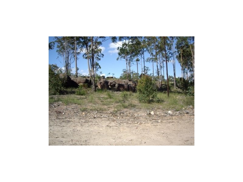 Lot 1319, 393 Bellbird Drive Spring Mountain, Greenbank QLD 4124