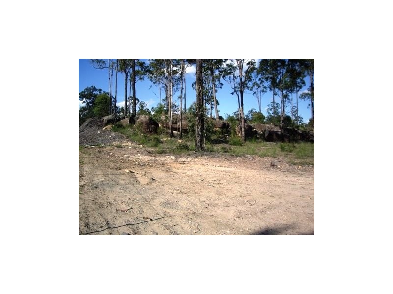 Lot 1319, 393 Bellbird Drive Spring Mountain, Greenbank QLD 4124