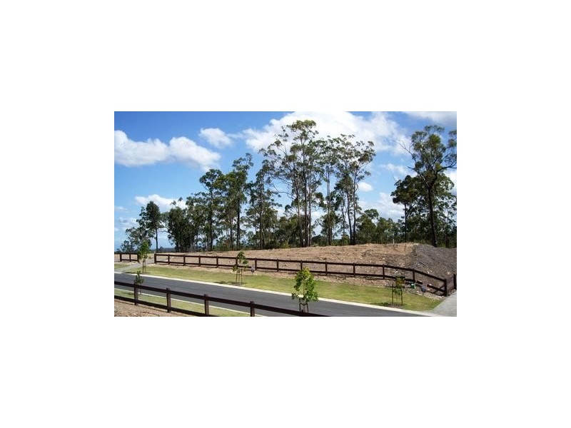 Lot 1319, 393 Bellbird Drive Spring Mountain, Greenbank QLD 4124