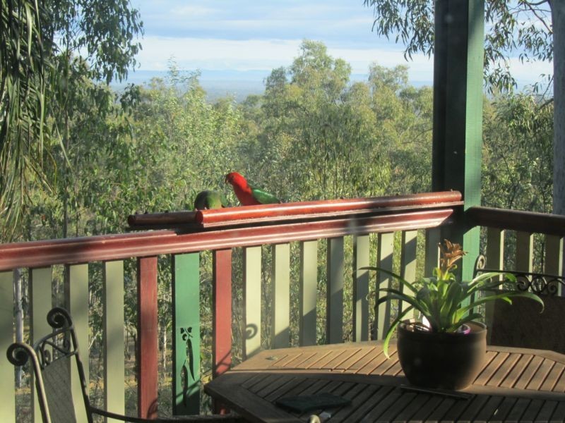 187 Minugh Road, Jimboomba QLD 4280