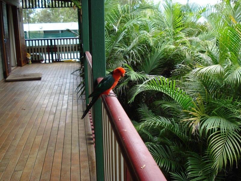 187 Minugh Road, Jimboomba QLD 4280