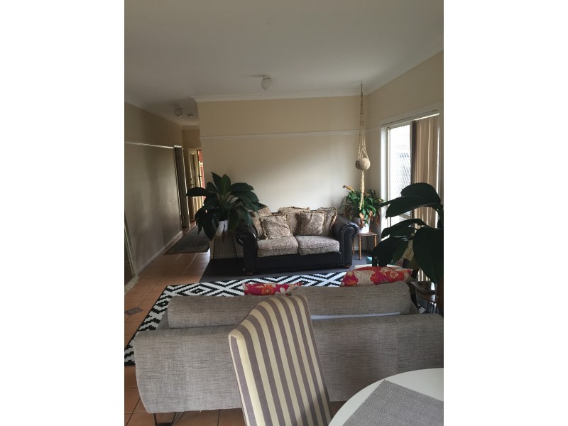 9 Gila Pl, Springfield QLD 4300