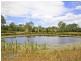 305 Leopardwood Road, Cedar Grove QLD 4285