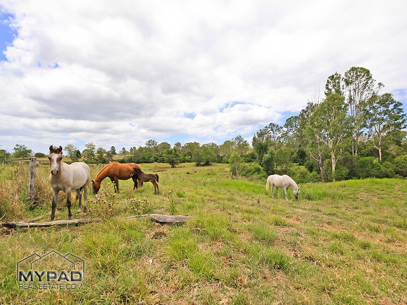 305 Leopardwood Road, Cedar Grove QLD 4285