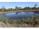 305 Leopardwood Road, Cedar Grove QLD 4285