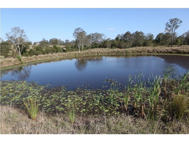 305 Leopardwood Road, Cedar Grove QLD 4285