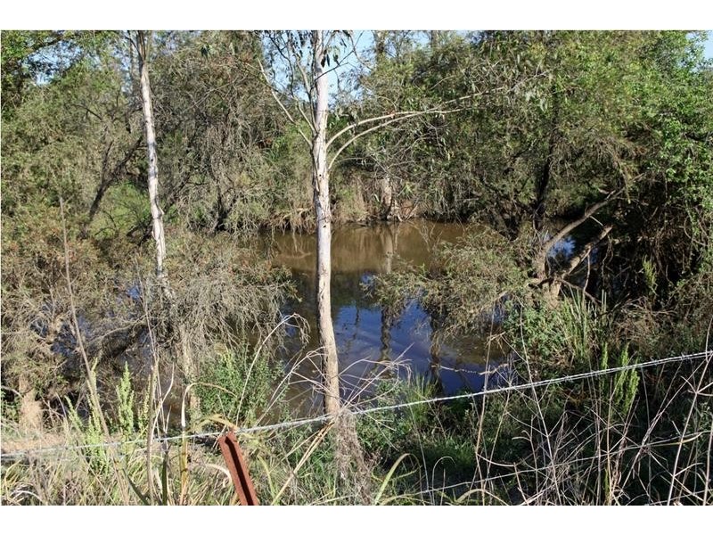 305 Leopardwood Road, Cedar Grove QLD 4285