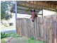 823 Camp Cable Road, Logan Village QLD 4207