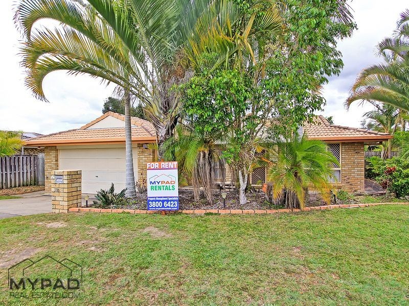 10 Lewis Place, Calamvale QLD 4116