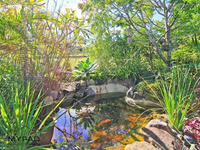 281 Equestrian Drive, New Beith QLD 4124