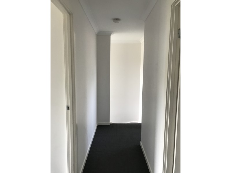 3/41 Cambridge St, Carina Heights QLD 4152