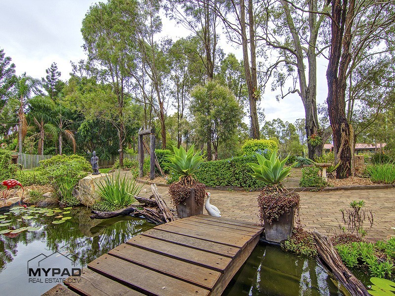 56 Arthy Drive, Cedar Grove QLD 4285