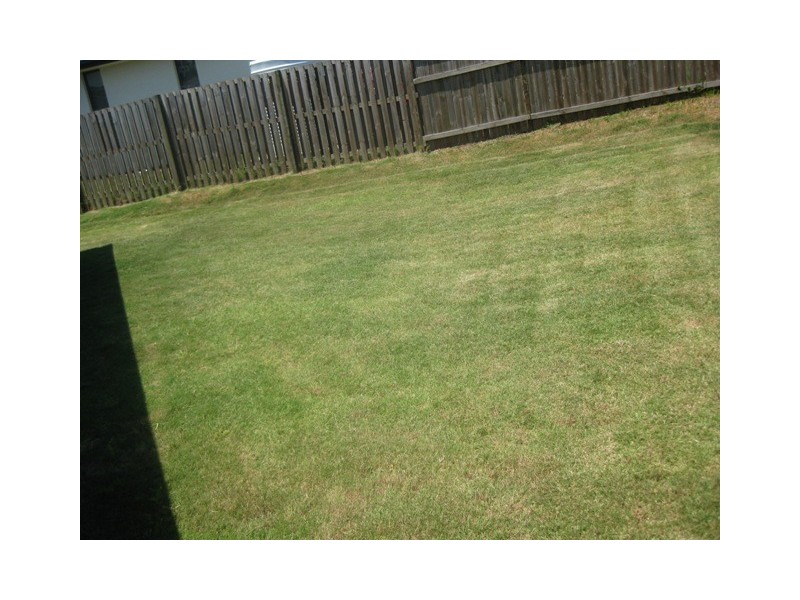 39 Colebrook Cres, Doolandella QLD 4077