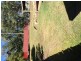 96 Mackellar Drive, Boronia Heights QLD 4124