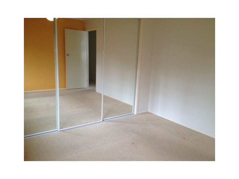 17 Raquel st, Springwood QLD 4127