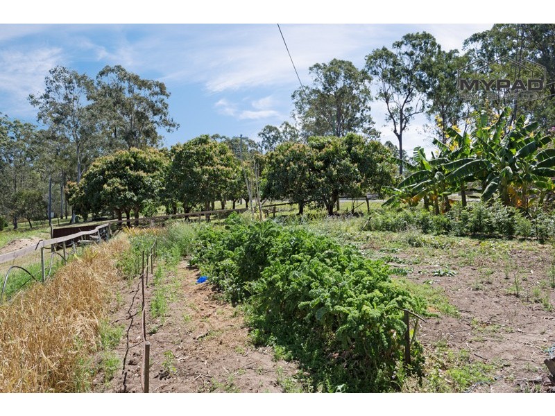 54-64 Clifton Drive, North Maclean QLD 4280