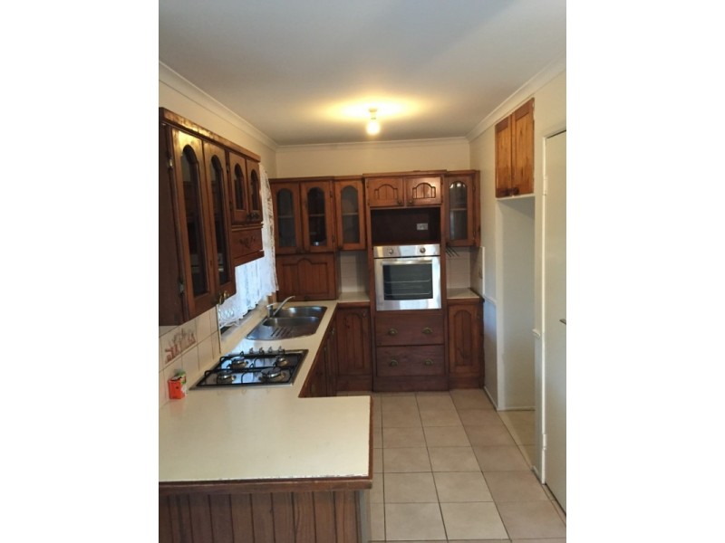 6 Breynia Street, Kingston QLD 4114