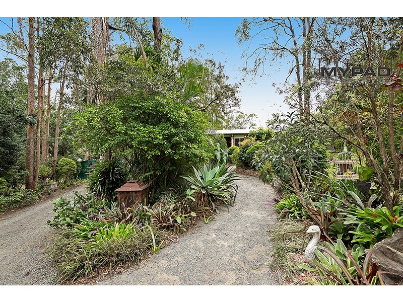 31-33 Spotted Gum Court, Cedar Grove QLD 4285