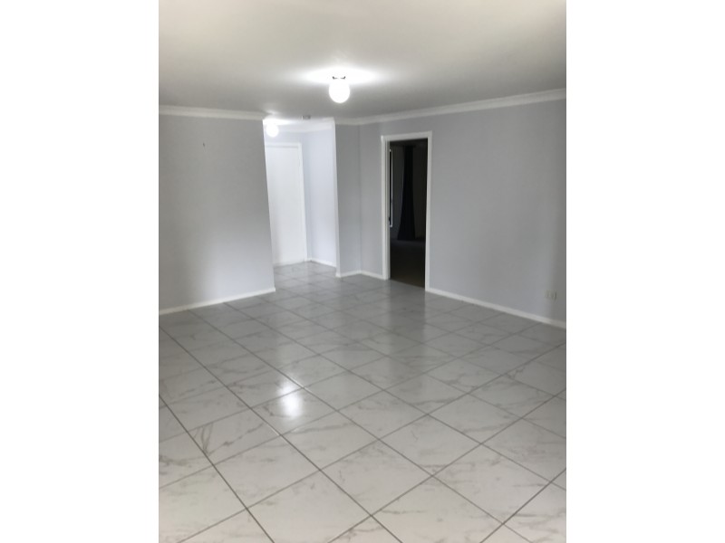 161 Henty Drive, Redbank Plains QLD 4301