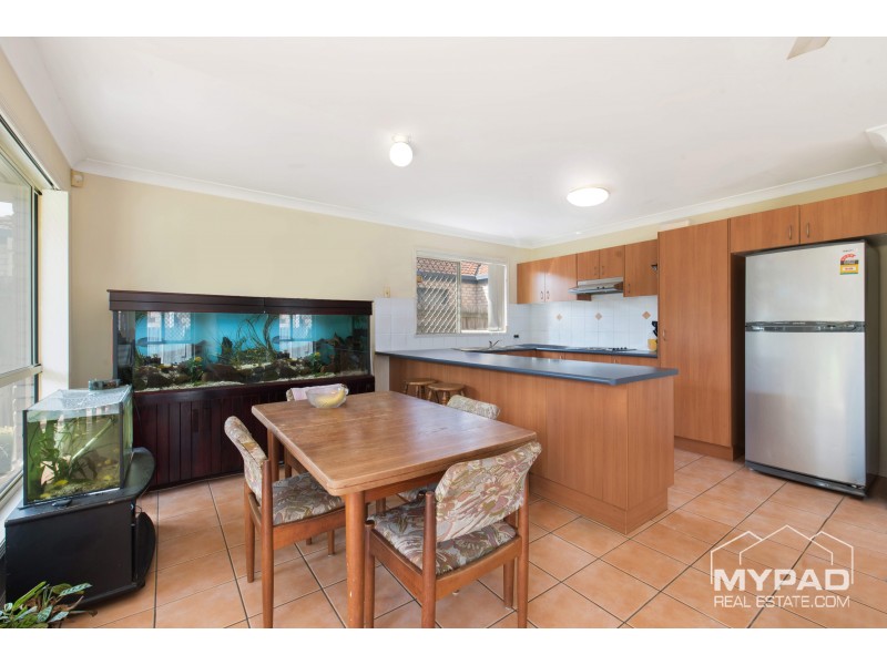 68 Vistula Crct, Springfield QLD 4300