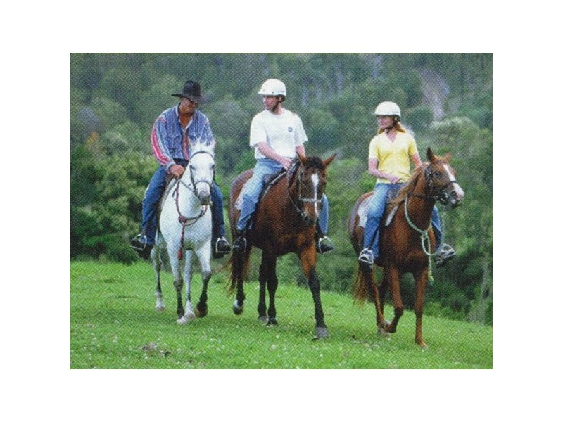 26 Kelly Avenue, Coomera QLD 4209